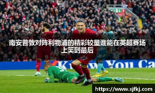 熊猫体育