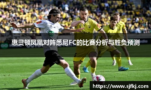 惠灵顿凤凰对阵悉尼FC的比赛分析与胜负预测